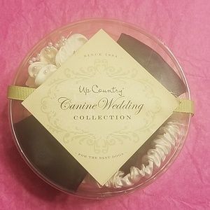 Adorable collars for wedding